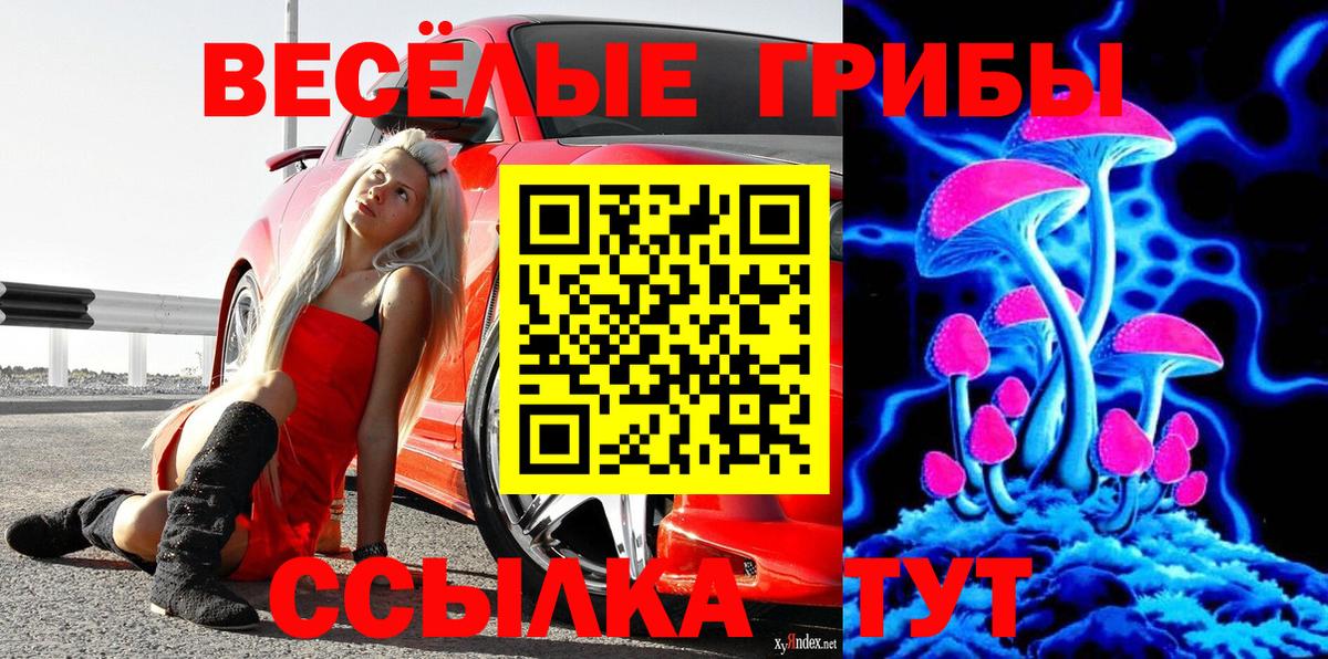 Елизово  Псилоцибиновые грибы Psilocybe  Псилоцибиновые грибы Cubensis  Вход с VPN 